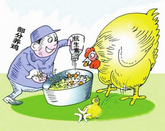 近半年來(lái)，肉類(lèi)食品可謂大紅特紅，不斷刷新頭條。先是“麥當(dāng)勞決定，將在美國(guó)逐步停止采購(gòu)在飼養(yǎng)過(guò)程中使用了某些人類(lèi)抗生素的雞肉產(chǎn)品?！彪S后，更讓人擔(dān)驚受怕的“僵尸肉事件”又展露了它猙獰的頭角。接著，世界衛(wèi)生組織旗下的國(guó)際癌癥研究機(jī)構(gòu)又發(fā)布最新報(bào)告：“將培根、火腿、香腸等加工肉制品列為致癌物。”